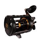 031324038998 Undisclosed Fathom Ii Level Wind Saltwater Casting Reel