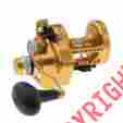 1206027 Penn Torque Gold Lever Drag Reel 15 031324202931