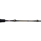 1366215 Penn Carnage Ii Jigging 031324165861