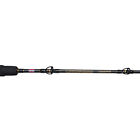 1366220 Penn Carnage Ii Jigging Casting Rod Length Piece 031324165915