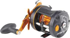 Abu Garcia 696398606070 C3 Species Special Baitcast Round Fishing Reel