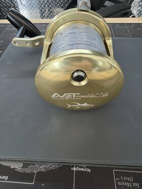 Sna-lx4.6-gr-10013 Avet Lx 4.6 1 Gold Conventional Fishing Reel Metal Mpn Sna-lx4.6-gr-10013 Avet Lx 4.6 1 Gold Conventional Fishing Reel Metal Mpn