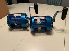 Avet Trx80w Set Of Two Saltwater Fishing Reels
