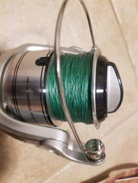 Sls70 Bass Pro Shops Sea Lion Offshore Angler Spinning Reel