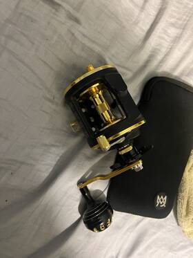 Burning Shark 663591263102 Trolling Reel Saltwater Level Wind Reels Drag Boat Fish Inch