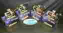 Cw-303d Pack Okuma Cold Water 4 Line Counter Level Wind Star Drag Trolling Reels 739998119400