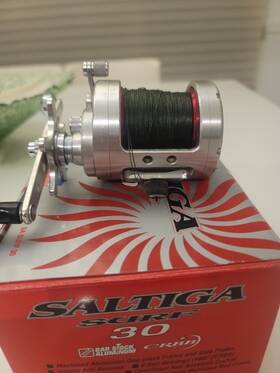 Daiwa 043178935439 Saltiga Surf 30
