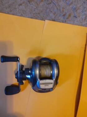 103pva Daiwa Team Daiwa-s Baitcasting Fishing Reel 5.1 1 Ratio 5 Ball Bearing Magforce