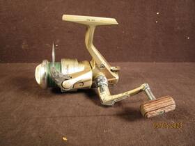 2505bl Daiwa Regal-z Fishing Reel