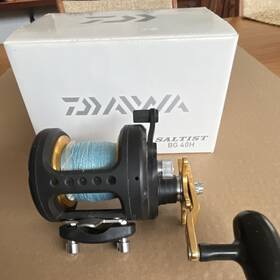 4x1377340 Daiwa Saltist Bg 40h Fishing Reel Black/gold