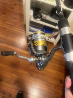 Lagunalt3000c Daiwa Laguna Lt 3000-c Spinning Reel