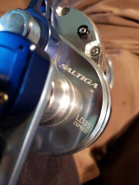 Ld35 Daiwa Saltig 2-speed