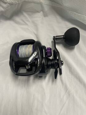 Prx400hl-p Daiwa Prorex Tw 400 Baitcast Reel - Black