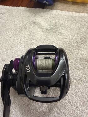 Prx400xh-p Daiwa Prorex Tw Casting Reel 8.1 1 Used Recently Serviced