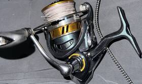 Rglt3000 Daiwa Regal Lt 3000 Spinning Reel W. New 20 Lbs Beyond Braid