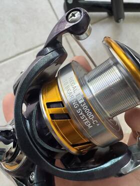 Rglt3000d-c Daiwa Rglt3000dc Regal Lt Spinning Reel