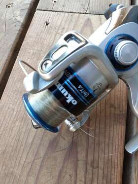 Sna-25 Okuma 6/270 8/210 Gear Ratio 5.3 1 Safina Spinning Fishing Reel