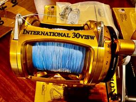 30visw Penn International Gold