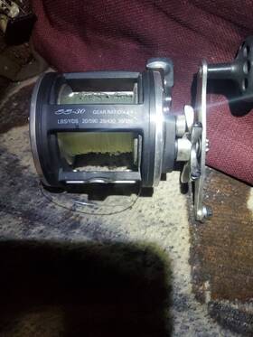 310gti Penn Bass Pro Shop Ss30 Graphite Fishing Reel Salt Water