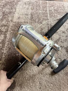 80visws Penn 80visw International 2-speed Reel Silver
