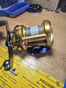 975csld Penn International Lever Drag Baitcaster Reel Made In Usa