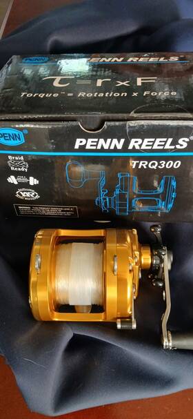 Trq300 Penn International Torque Mint Condition