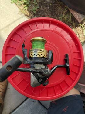 Bl60 Pinnacle Broken Bail
