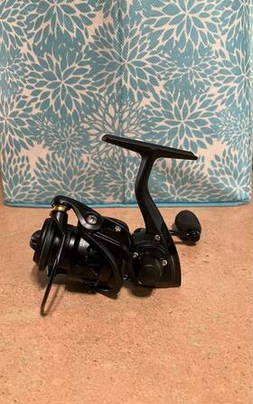 Piscifuncarbon001 Piscifun Carbon X Spinning Fishing Reel Ultra Light 1000