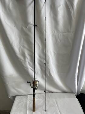 Ct10pti Quantum Nice Catalyst Fishing Reel And Lci Striker Ssr601 Graphite 6ft Rod