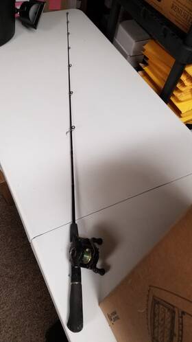 D310 Quantum Graphite Bait Casting Reel And 60 Inch One Piece Browning Gold Medalion R