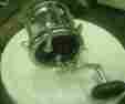 114h Senator Penn 6 0 114 H