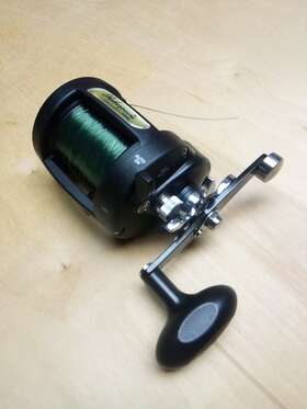 T20l Shakespeare Tidewater Round Bait Casting Reel