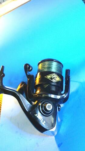 Tsp50 Shakespeare Tiger Fishing Reel