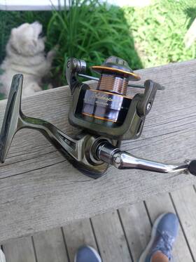 Wd35 Shakespeare Used Wild Series Spinning Reel. Works. Good Condition