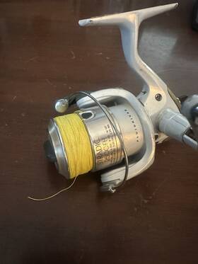 2500gfh Shimano Stradic Spinning Reel Silver Gold 8/140 10/120 12/100