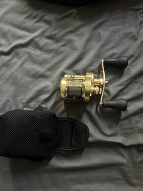 400xglh Shimano 23 Calcutta Conquest Md 7.5 1 Baitcast Reel - Gold