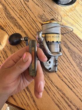 6000fe Shimano Sustain Spinning Reel
