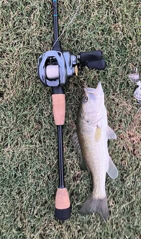 Cudc150 Shimano 6.2 1 Curado Dc 150 Fishing Reel Right Handed Rod Not Included