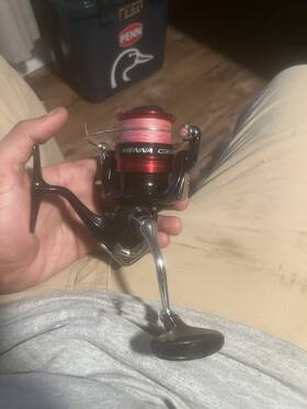 Snc3000fg Shimano Sienna Spinning Reel Red/black Wally Bass Rod