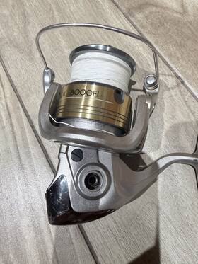 Str8000fi Shimano Stradic 8000fi Spinning Reel 4.9 1 Front Drag Silver/gold