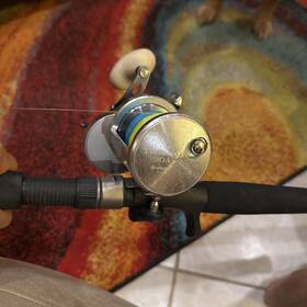 Tn30a Shimano Trinidad 30a Conventional Saltwater Fishing Reel