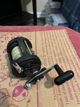 Tr-200gt Shimano Triton 200gt Level-wind Fishing Reel