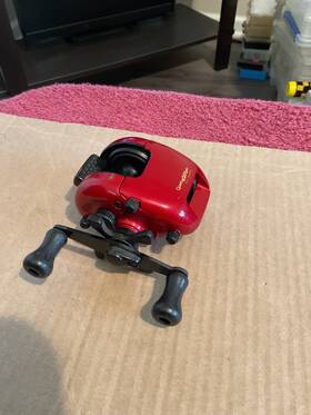 Ql1000 Zebco Quantum Lite Bait Casting Reel Magnetic Spool Control