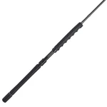 Penn Carnage Iii Spinning Jigging Rod, 6'4" Fishing Pole, Medium Heavy Power. Fixed Price $285.99.