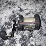Daiwa Sealine Sl 250H Graphite Conventional Reel High Speed. Fixed Price $55.99.