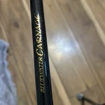 Penn Carnage Bluewater CARBW3080C80WL 7 10 30-80LB Wire Line Rod. Fixed Price $229.99.