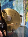 Shimano Calcutta Gold Series 201XT. Fixed Price $264.40.