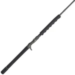Penn Carnage Iii Conventional Jigging Rod, 6'2" Fishing Pole, Medium Heavy Power. Fixed Price $259.95.