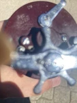 Penn Squidder 140 Reel. Fixed Price $40.00.