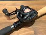 Daiwa Catalina Tw 100SH Baitcasting Fishing Reel. Fixed Price $243.96.